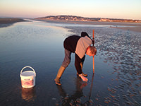 A fisherman on foot low tide beach of Deauville